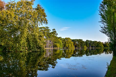 bois de boulogne la nuit|Visiter Bois de Boulogne, Vacances Paris